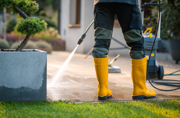 Best Local Pressure Washing Services  in Nitro, WV